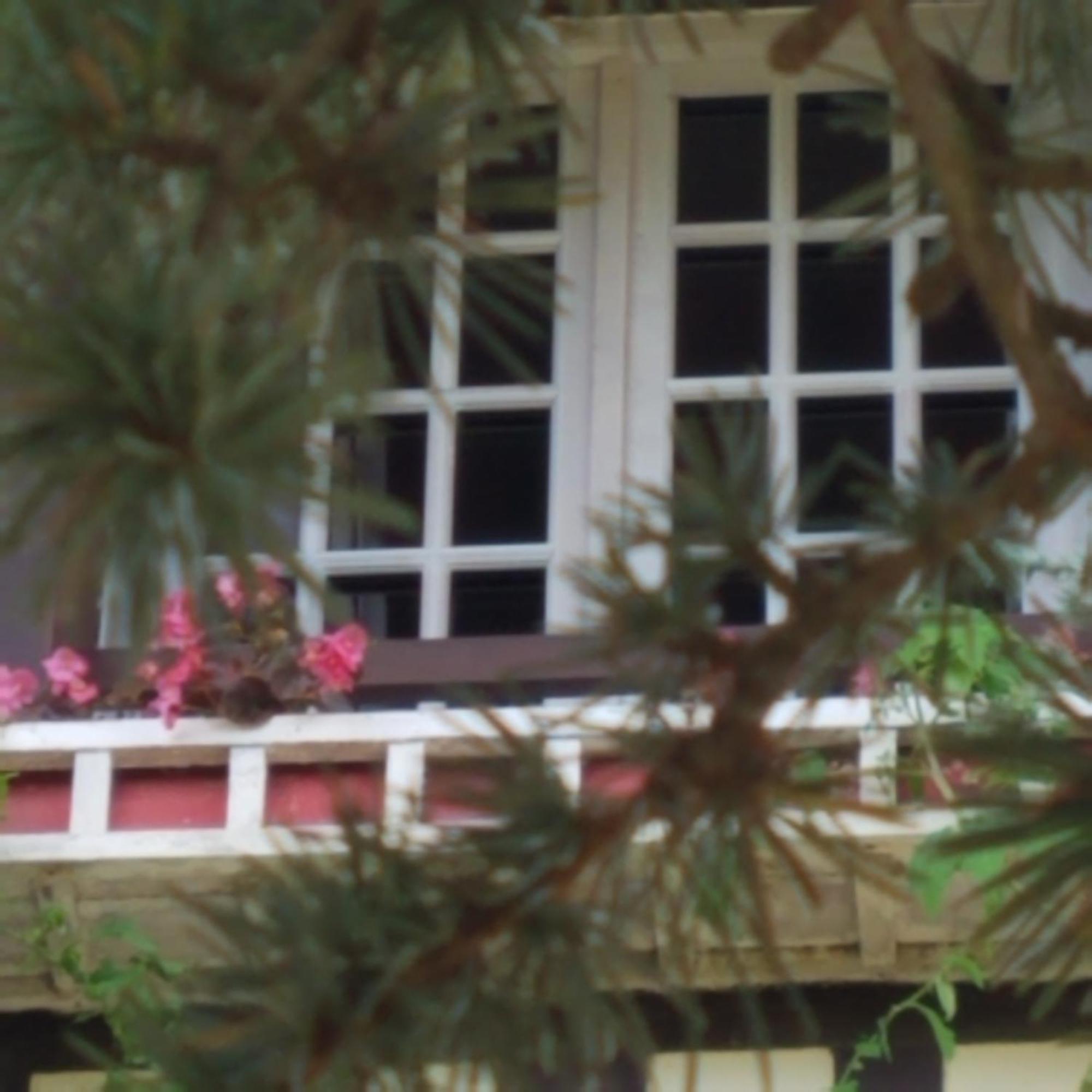 Le Vieux Pre De La Motte Appartement Villers-sur-Mer Buitenkant foto